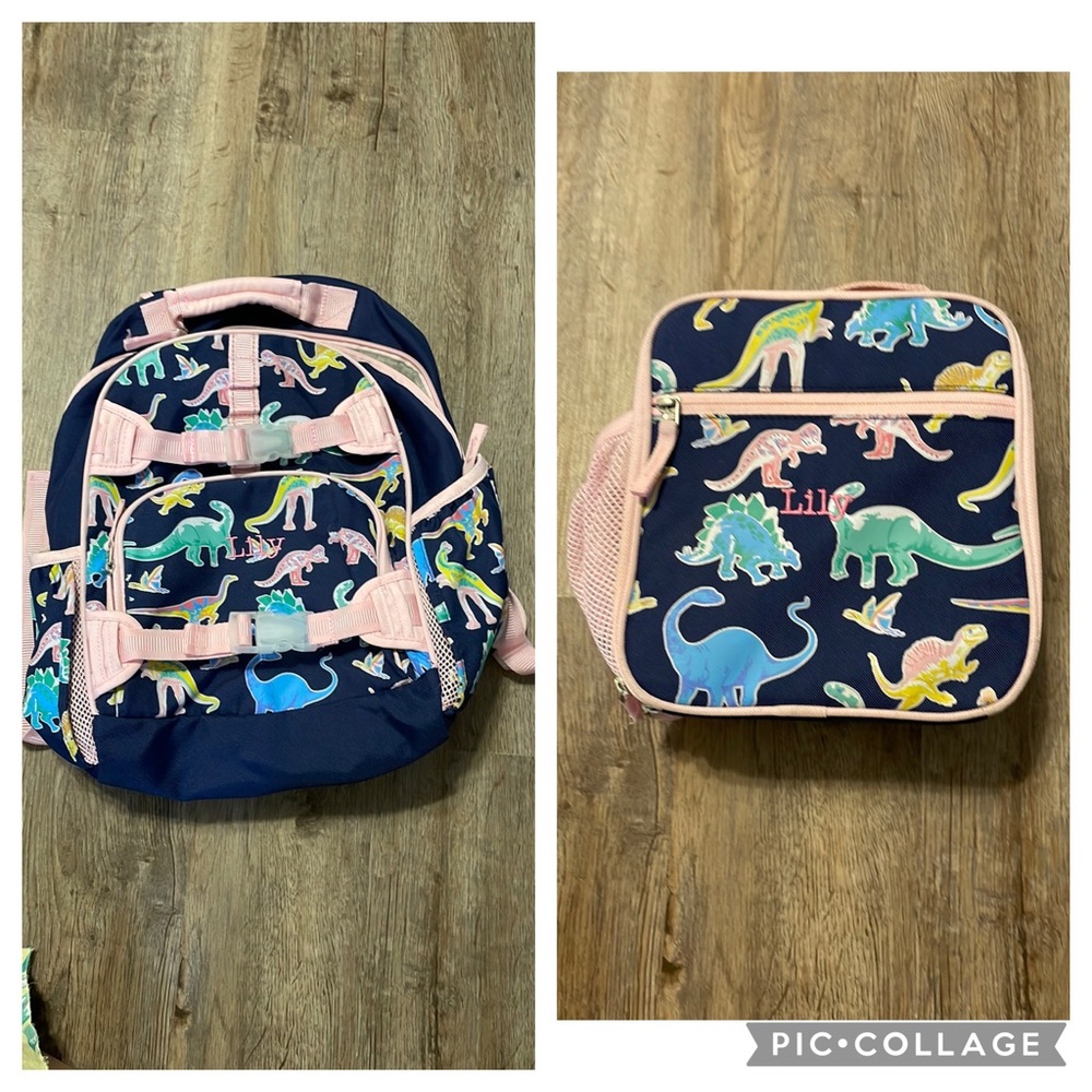 Pottery Barn Dinosaur Backpack and Lunchbox